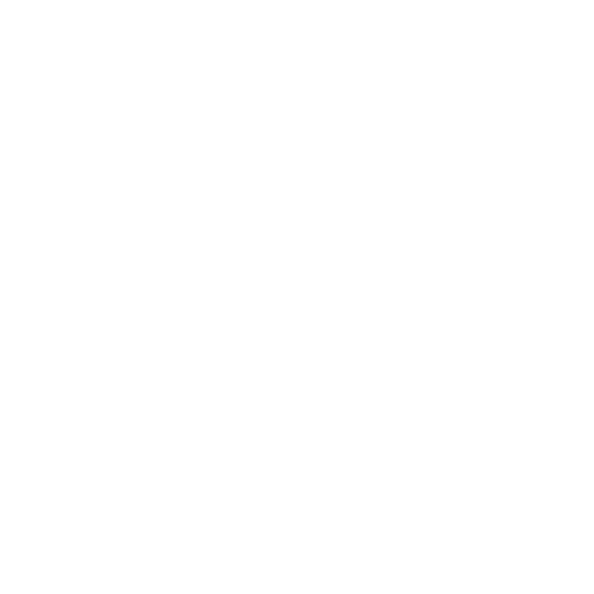 ico-insta